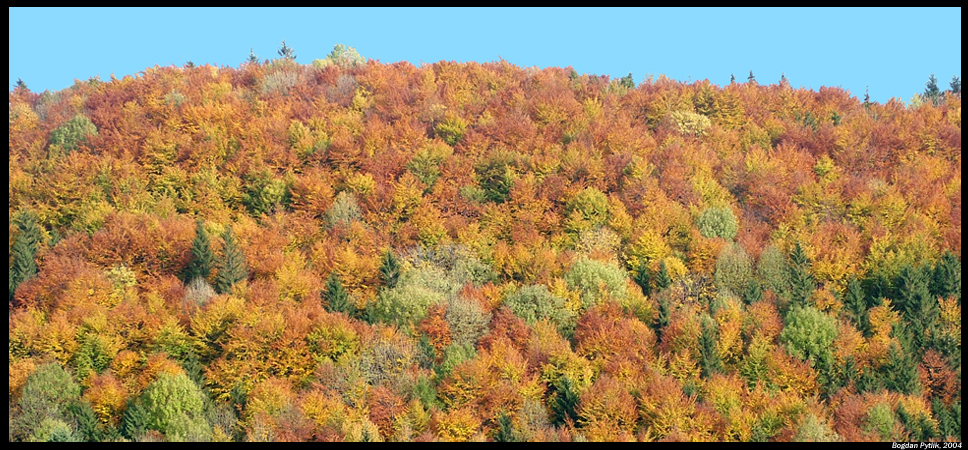 Podzimni barvy v Beskydech